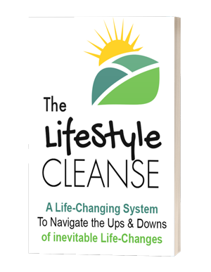 the-lifestyle-cleanse-3d-book-cover-300-233x300-1